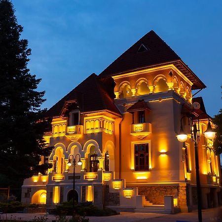 Casa Danielescu Hotel Târgu Jiu Buitenkant foto