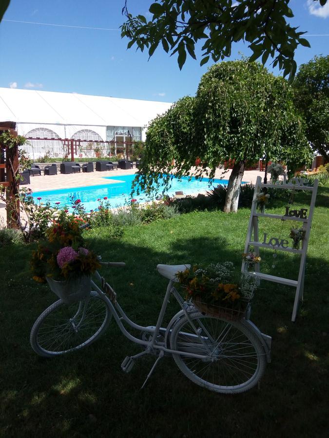 Casa Danielescu Hotel Târgu Jiu Buitenkant foto