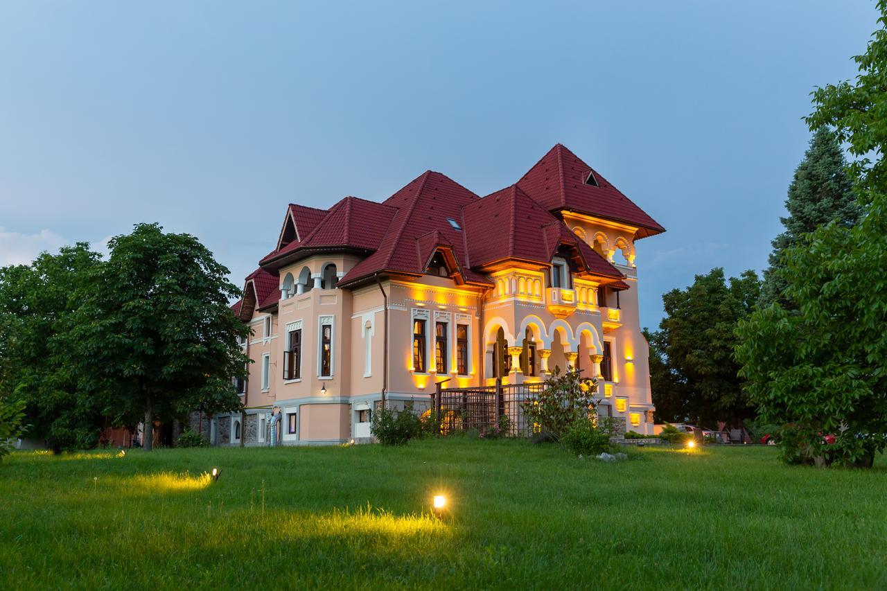 Casa Danielescu Hotel Târgu Jiu Buitenkant foto